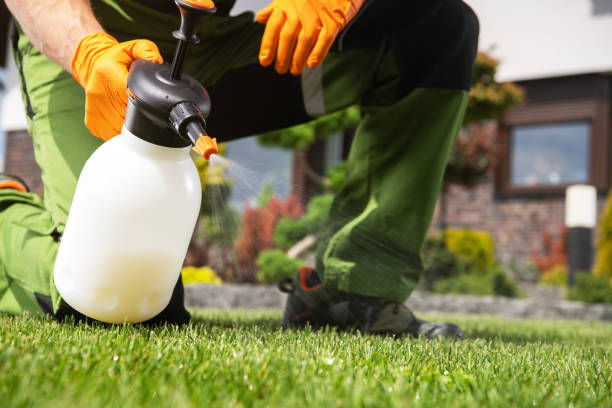 Trusted Hudson, IL Pest Control Experts