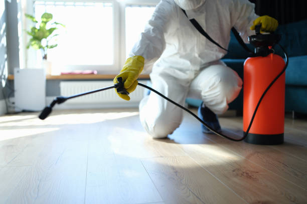 Flea Control Services in Hudson, IL