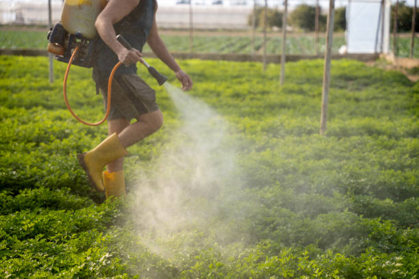 Best Local Pest Control Services  in Hudson, IL