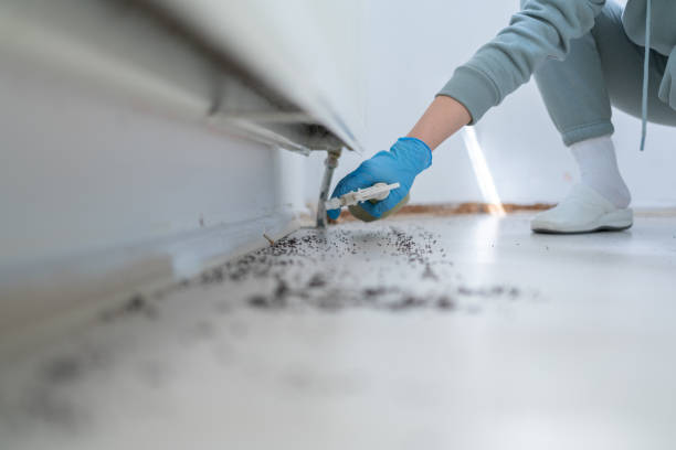 Best Cockroach Control Services  in Hudson, IL